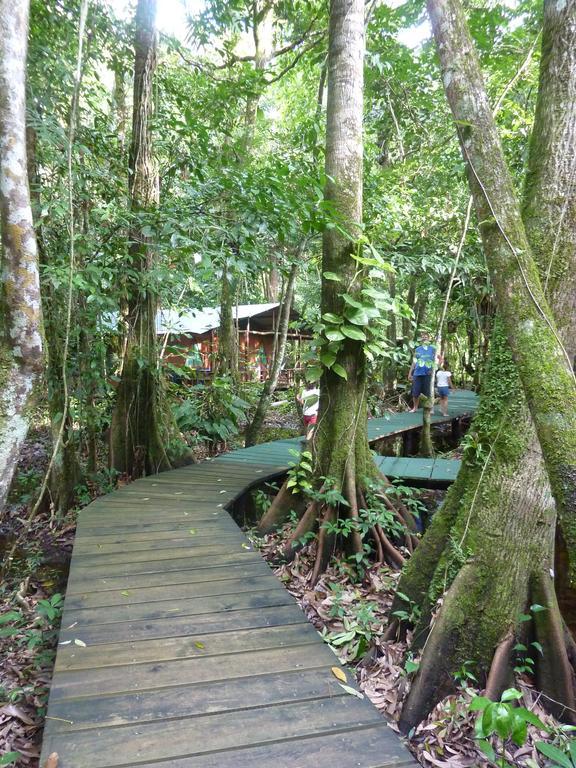 Hotel Casa Perico Rio Dulce Bagian luar foto